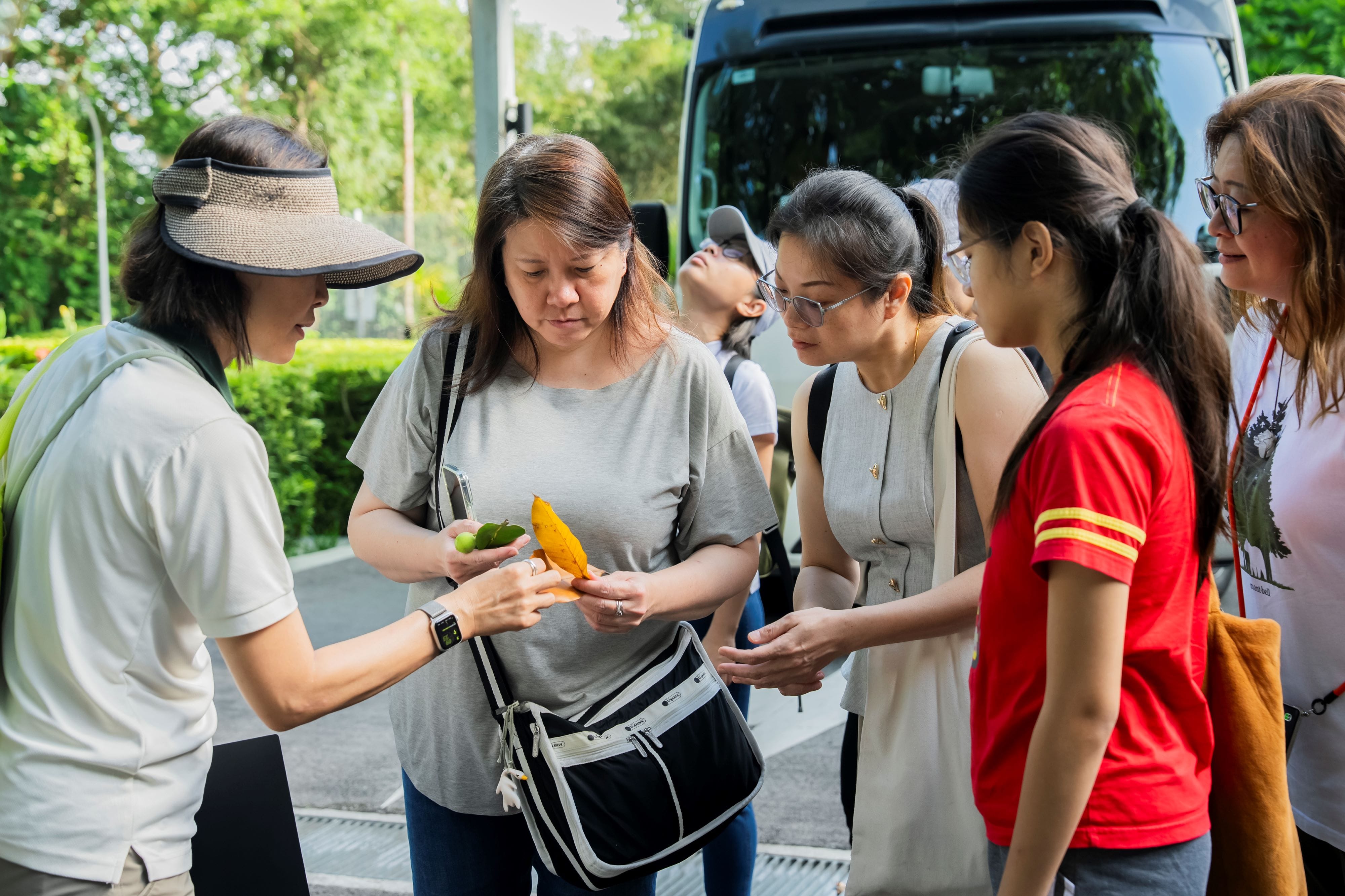 A guide showing a leaf to a group of people with a small bus in the background